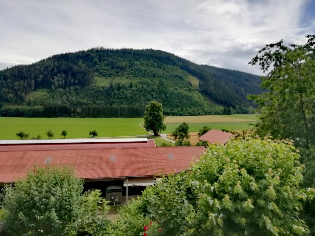 Ferienwohnung Erni Feldkirchen in Kärnten Exterior photo